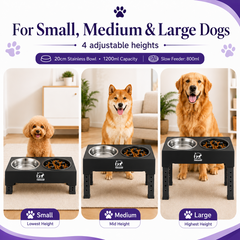 PawsGuard adjustable elevated dog feeder for small medium and large dogs