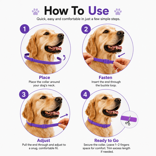 How to fit and adjust the PawsGuard dog flea and tick collar